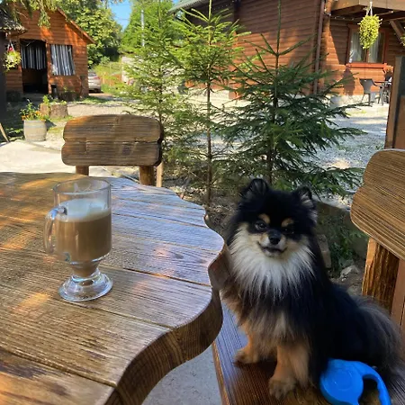водограй Hotel Vorokhta