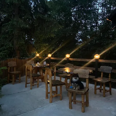 водограй Hotel Vorokhta